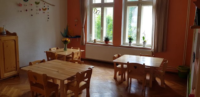 Lumea lui Momo - Gradinita