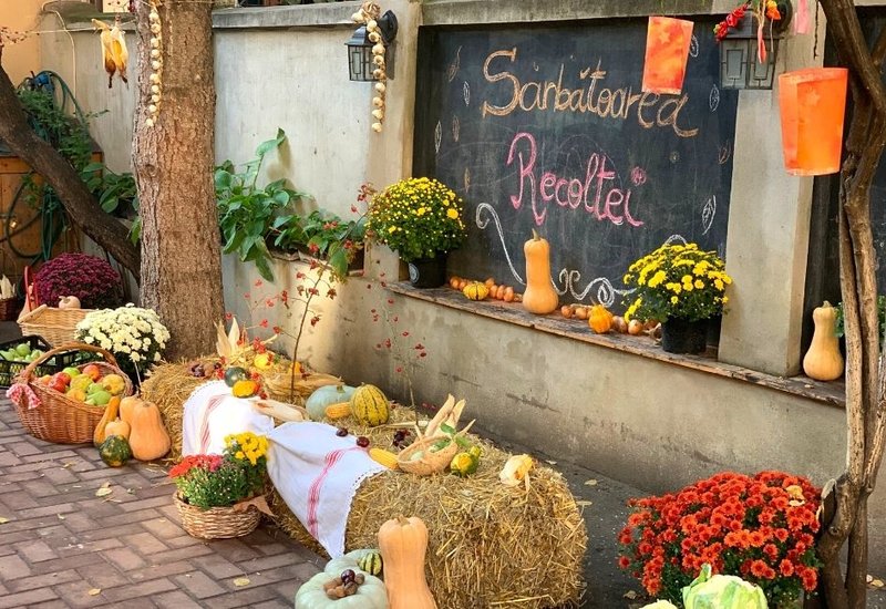 Lumea lui Momo - Gradinita